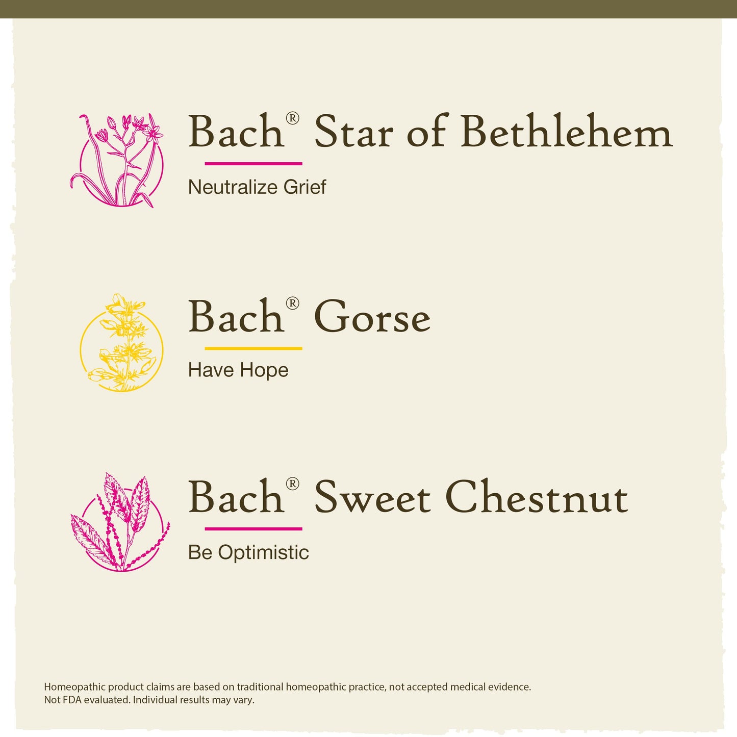 Bach Original Flower Remedies Hope & Joy Kit – 3 x 20mL Droppers, Vegan
