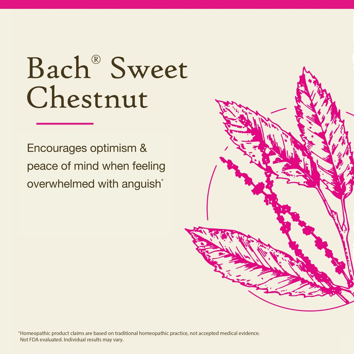 Bach Original Flower Remedies Sweet Chestnut - Be Optimistic | 20 mL Dropper