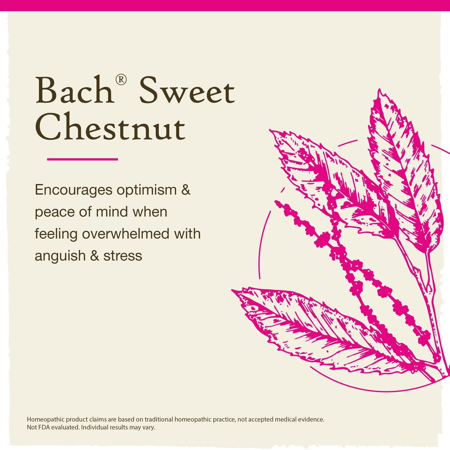 Bach Sweet Chestnut Flower Remedy – Be Optimistic (20mL) – Vegan & Gluten Free