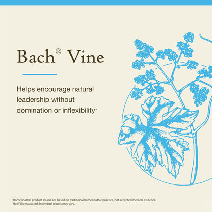 Bach Original Flower Remedies Vine – Motivate Not Dominate – 20mL Dropper