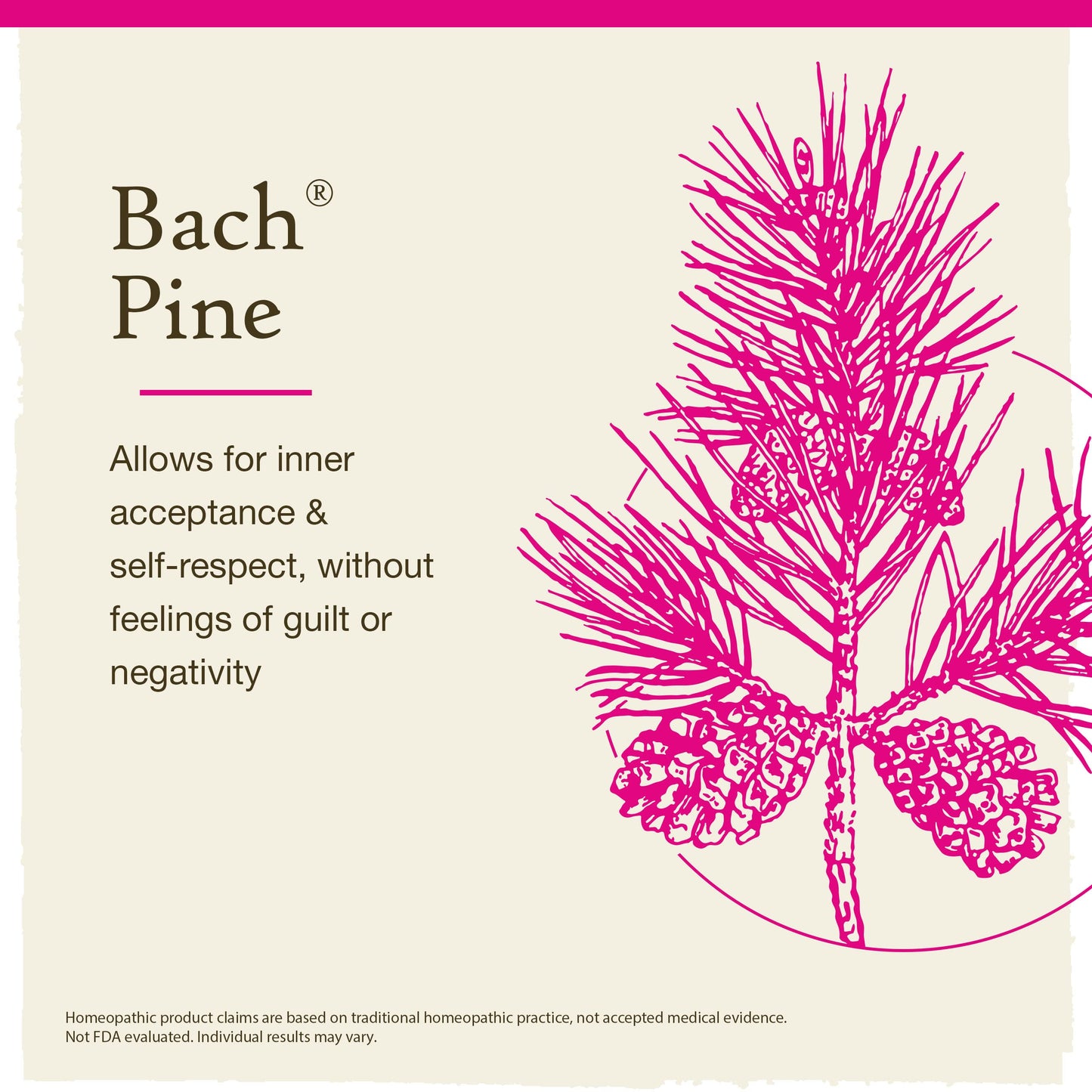 Bach Pine Flower Remedy – Have Self-Respect | 20mL Dropper