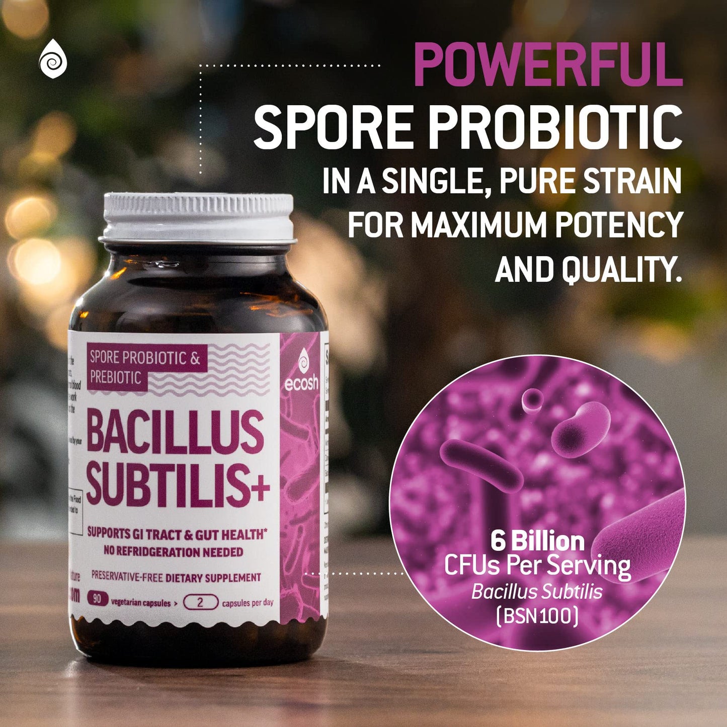 Bacillus Subtilis Spore Probiotic – 6B CFU, Prebiotic Support | 90 Veggie Capsules