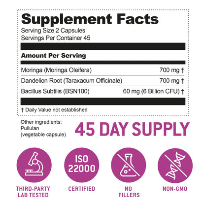 Bacillus Subtilis Spore Probiotic – 6B CFU, Prebiotic Support | 90 Veggie Capsules