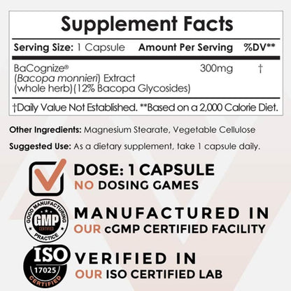 BaCognize Bacopa Monnieri Capsules – 300mg, 240 Count | Nootropic Brain Booster