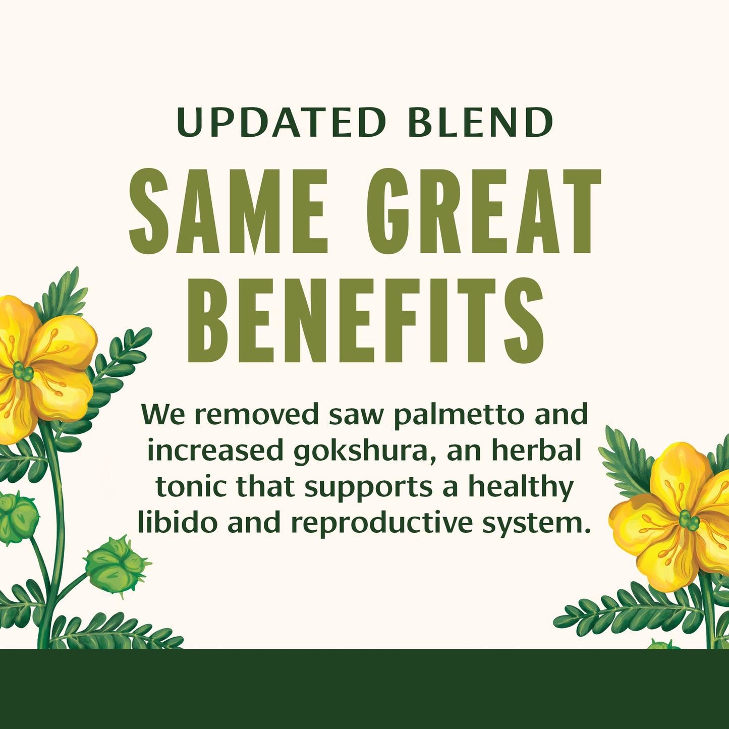 Banyan Botanicals Men's Support Tablets – Gokshura, Ashwagandha & Mucuna Pruriens (90 Tablets, Vegan)