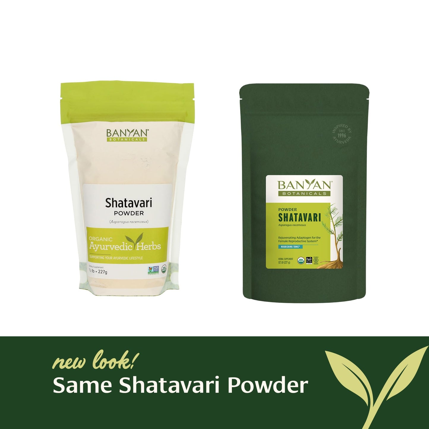 Shatavari Powder – Organic Asparagus Racemosus Root | Banyan Botanicals | Vegan