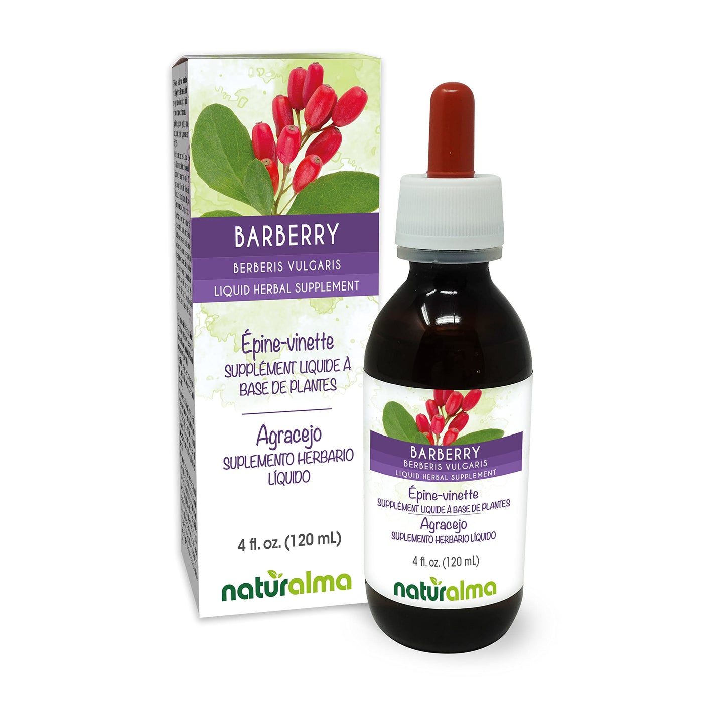 Naturalma Barberry Root Bark Tincture (1:10) - Alcohol-Free Drops, 4 fl oz | Vegan
