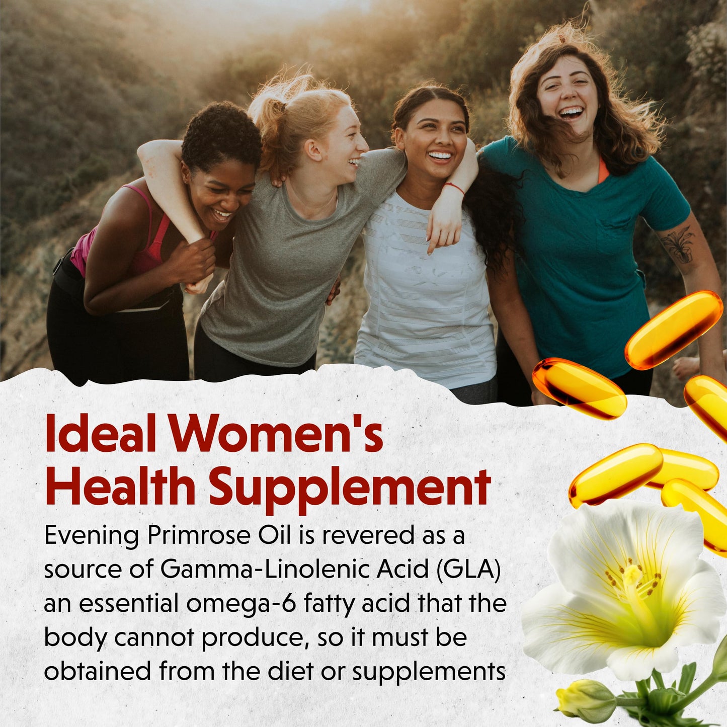Barlean's Evening Primrose Oil Capsules – GLA for Skin & Immune Support (120 Count)