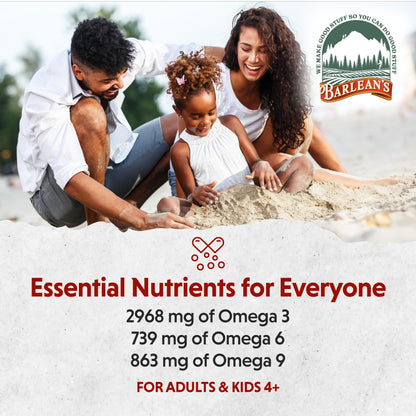 Barlean's Vegan Omega 3-6-9 Flaxseed Oil – Strawberry Banana, 16 oz