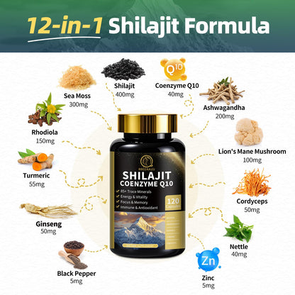 BBEEAAUU Sea Moss & Shilajit Bundle - Energy & Immunity, 480 Capsules