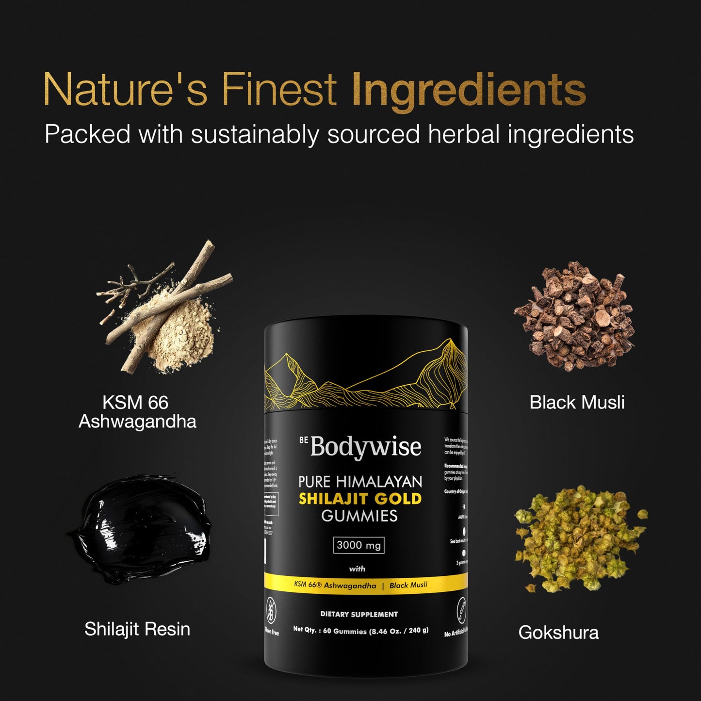 Be Bodywise Himalayan Shilajit Gummies Gold – Lab Tested, Sugar Free