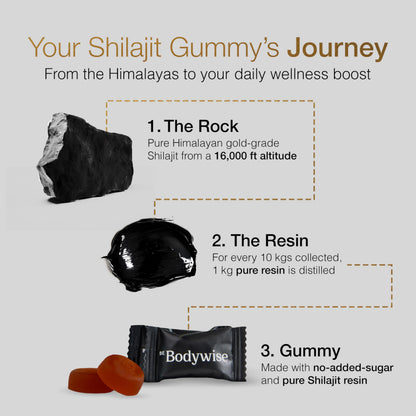 Be Bodywise Himalayan Shilajit Gummies Gold – Lab Tested, Sugar Free