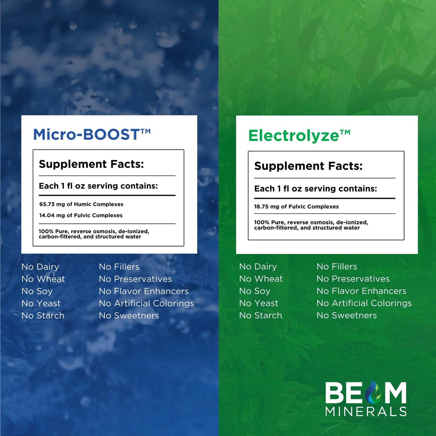 BEAM Minerals Micro-Boost & Electrolyze – Bioavailable Electrolyte & Micronutrient Set