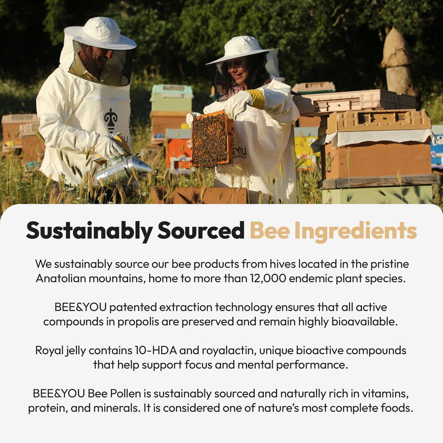 Bee and You Royal Jelly Tablets – Propolis & Bee Pollen for Immune Support | 60ct