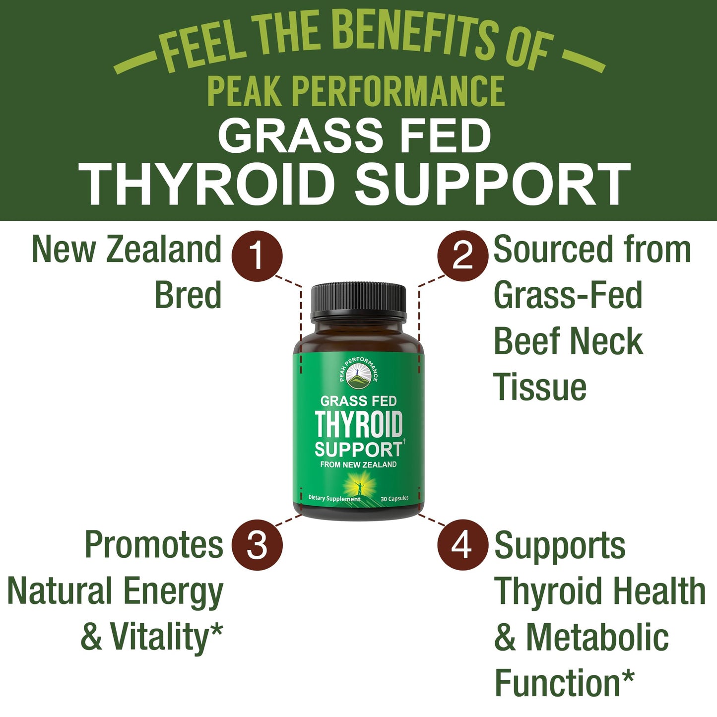 Raw Desiccated Thyroid Supplement | Grass-Fed NZ Beef Neck & Thyroid Capsules