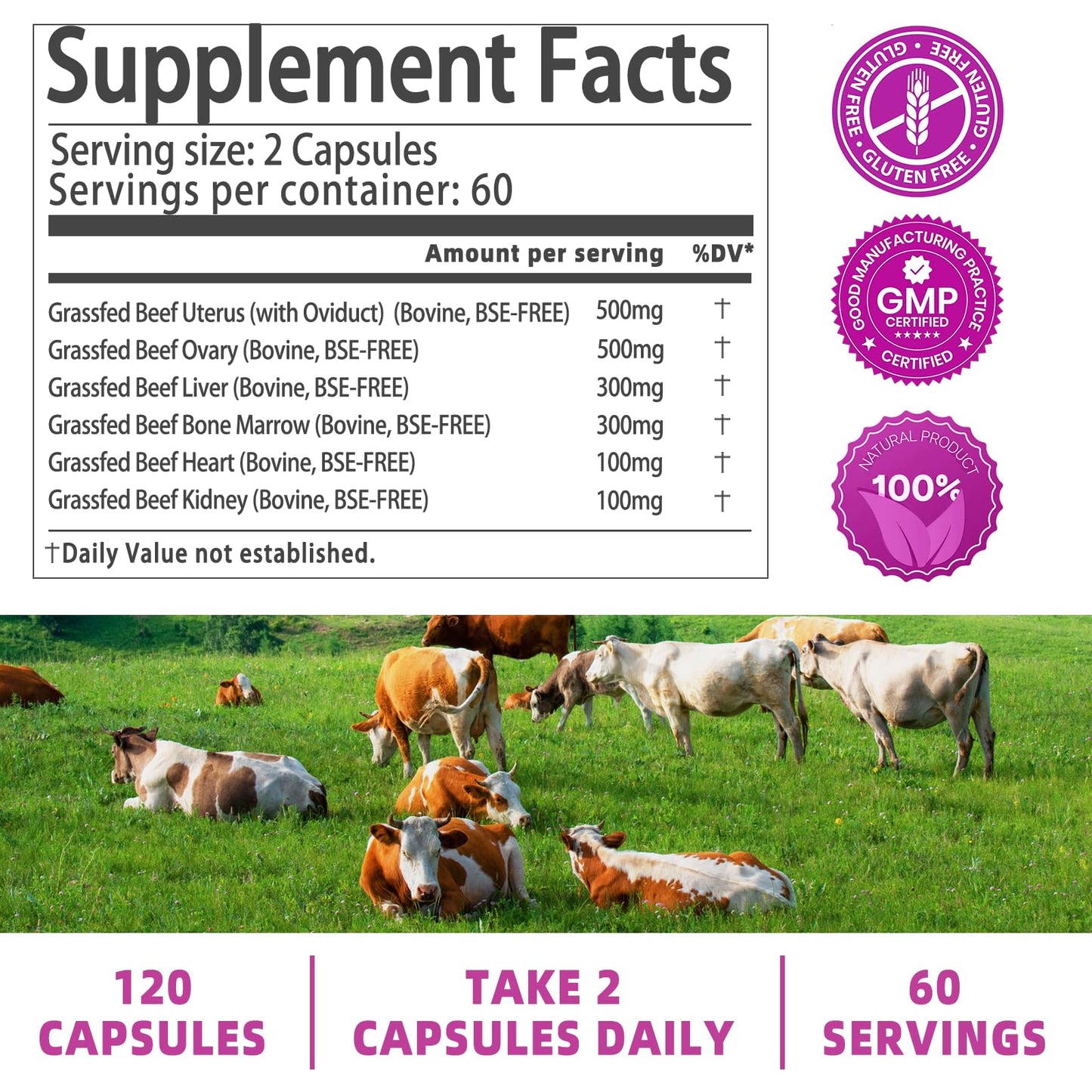Beef Organ Supplement for Women - Grass-Fed Liver & Organs | 60 Servings
