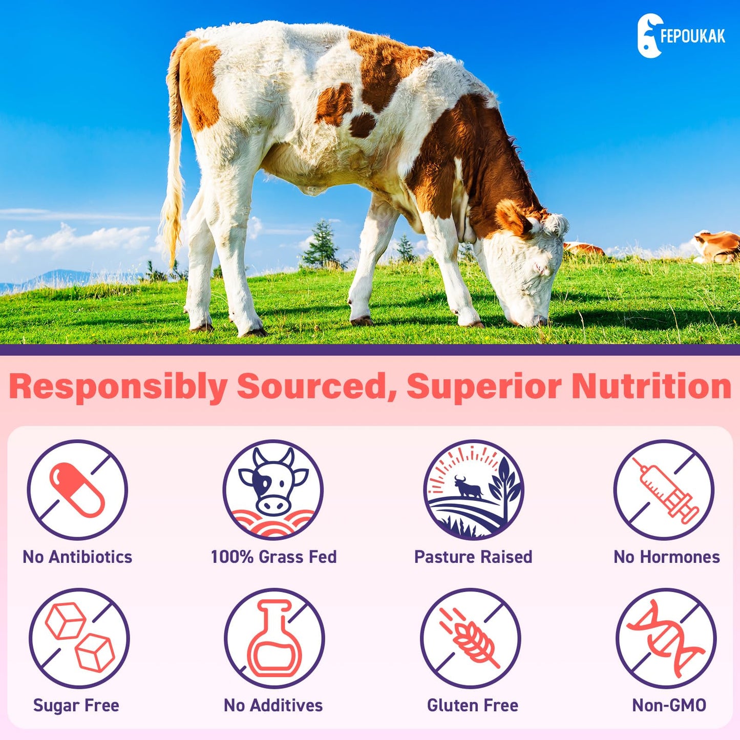 Beef Organ Supplement for Women – 180 Gummies, Grass-Fed 5300mg Liver & More