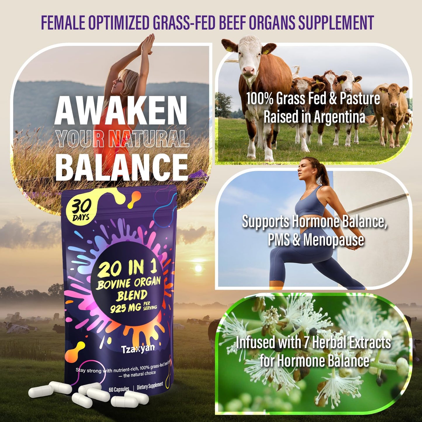 20-In-1 Beef Organ Supplement for Women – 925MG Grass-Fed Liver, Uterus & Ovary + 3 More | Hormone Balance & Energy