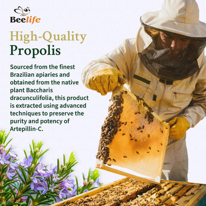 Beelife Green Propolis Capsules - 100% Green Propolis & Bee Pollen - Brazilian Propolis Extract - ISO 22000, Kosher - 120 Capsules