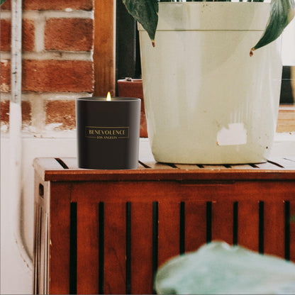 Benevolence LA Pine Scented Candle | 8oz Soy Candle