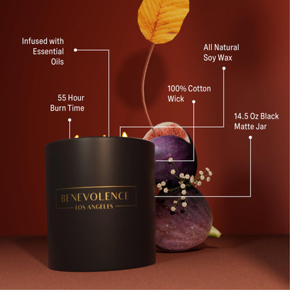 Benevolence LA 3-Wick Fig Tree Candle – 14.5 oz Soy, Holiday Scent