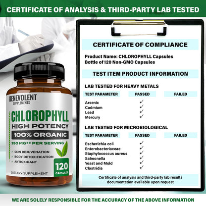 Benevolent Chlorophyll Capsules 350mg – 120 Caps | Natural, 20x Potency