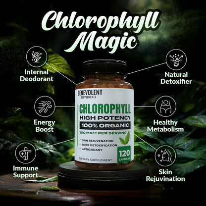 Benevolent Chlorophyll Capsules 350mg – 120 Caps | Natural, 20x Potency