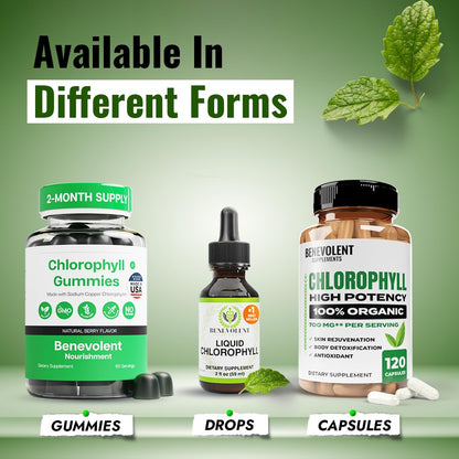 Benevolent Chlorophyll Capsules 350mg – 120 Caps | Natural, 20x Potency