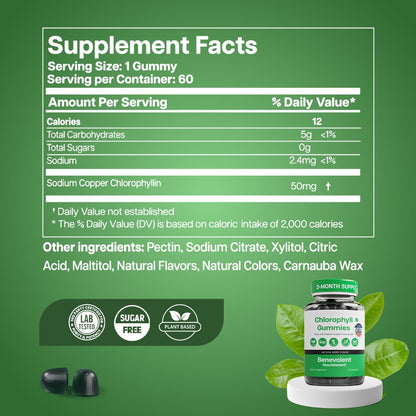 Chlorophyll Gummies – Detox & Immune Support, Sugar-Free | 60 Count