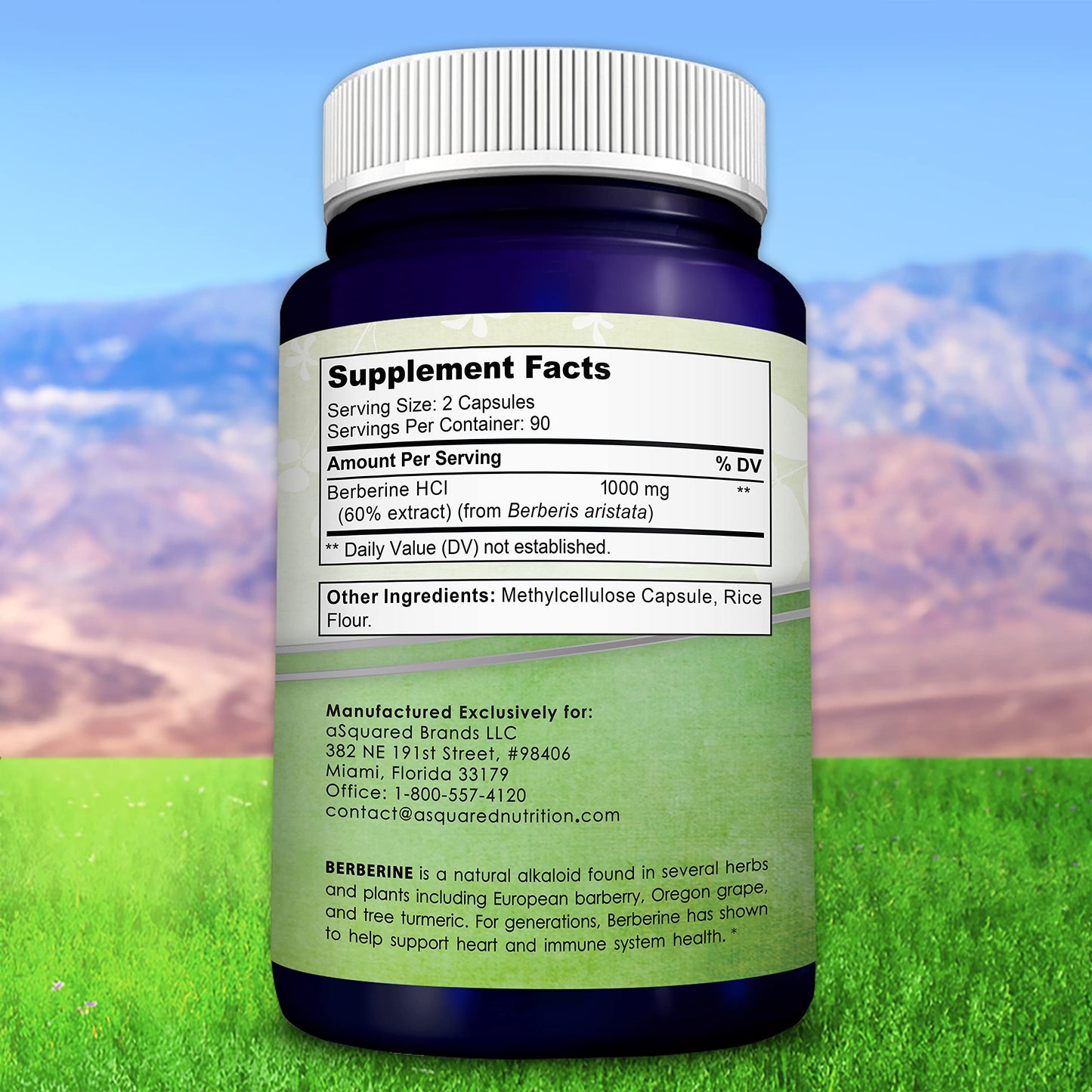 aSquared Nutrition Pure Berberine 1000mg – 180 Veggie Capsules | Max Strength HCl