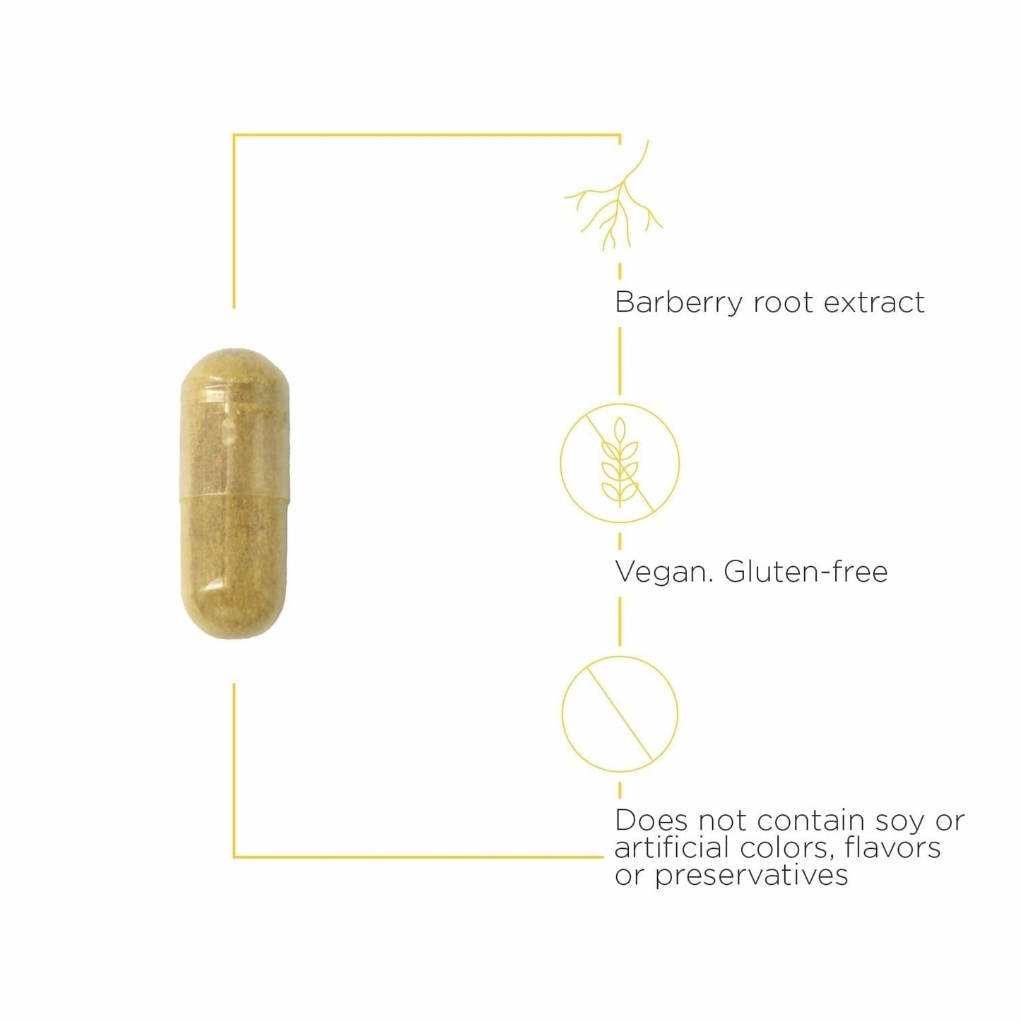 Integrative Therapeutics Berberine Complex - Digestive & Gut Health Supplement | 90 Capsules (45 Servings)