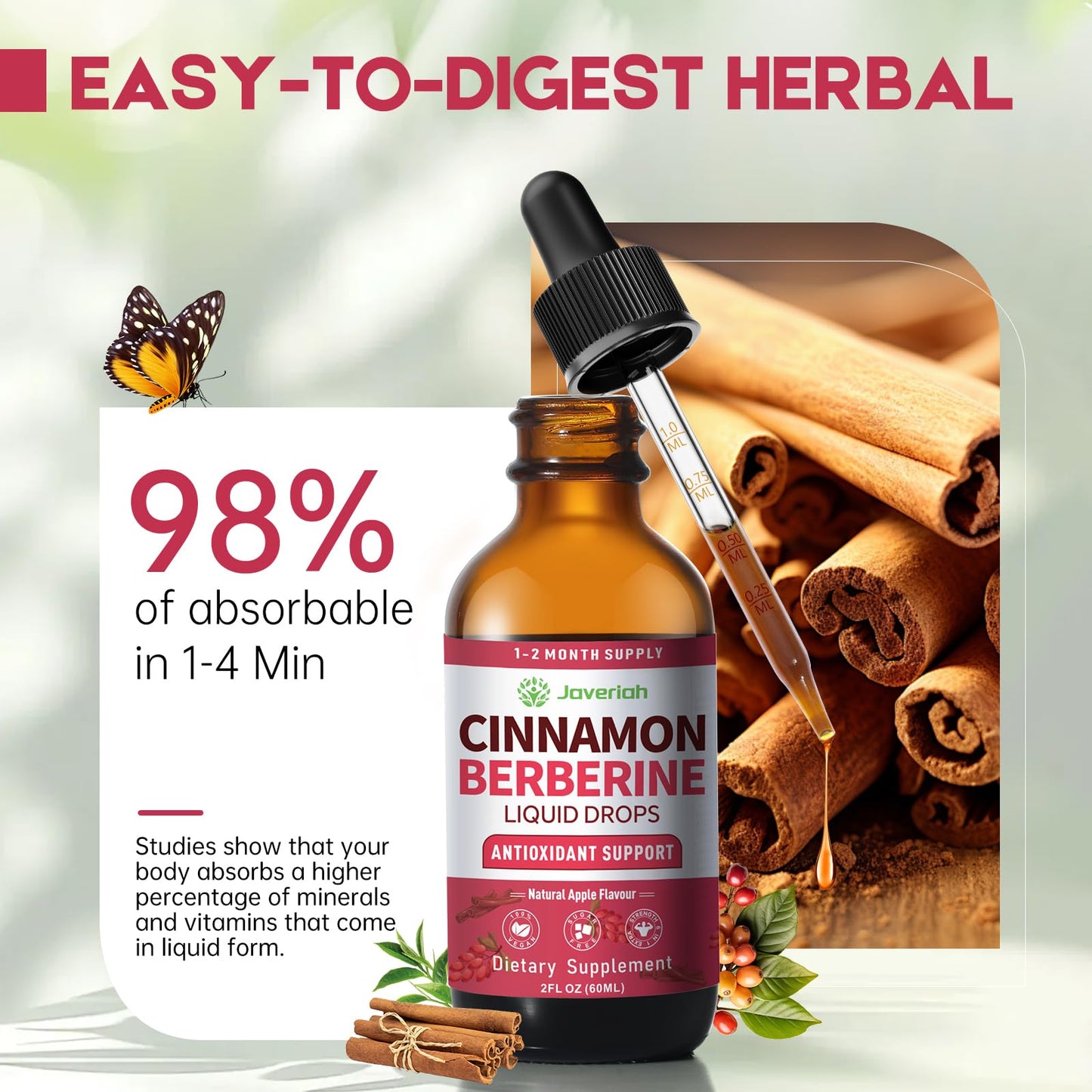 Berberine Drops with Ceylon Cinnamon & Turmeric – Vegan HCl Liquid Drops – 4 FL OZ (2 Pack)