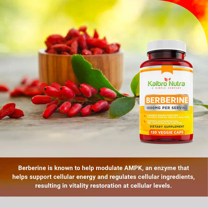 Kaibro Nutra Berberine 1000mg Supplement – Immune, Glucose & Circulatory Health | Vegan & Gluten-Free, 120 Capsules