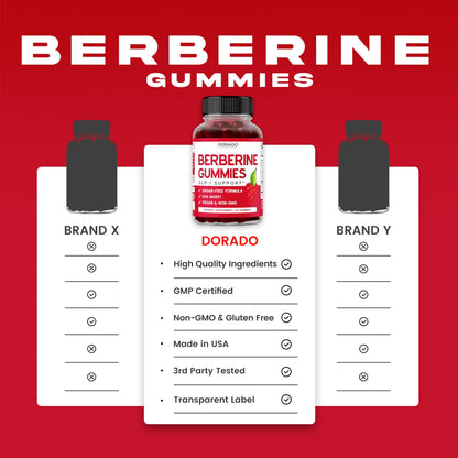 Berberine Gummies with Ceylon Cinnamon (1,200mg) – Sugar-Free, 60 Count, Pack of 2 | Made in USA, Third-Party Tested