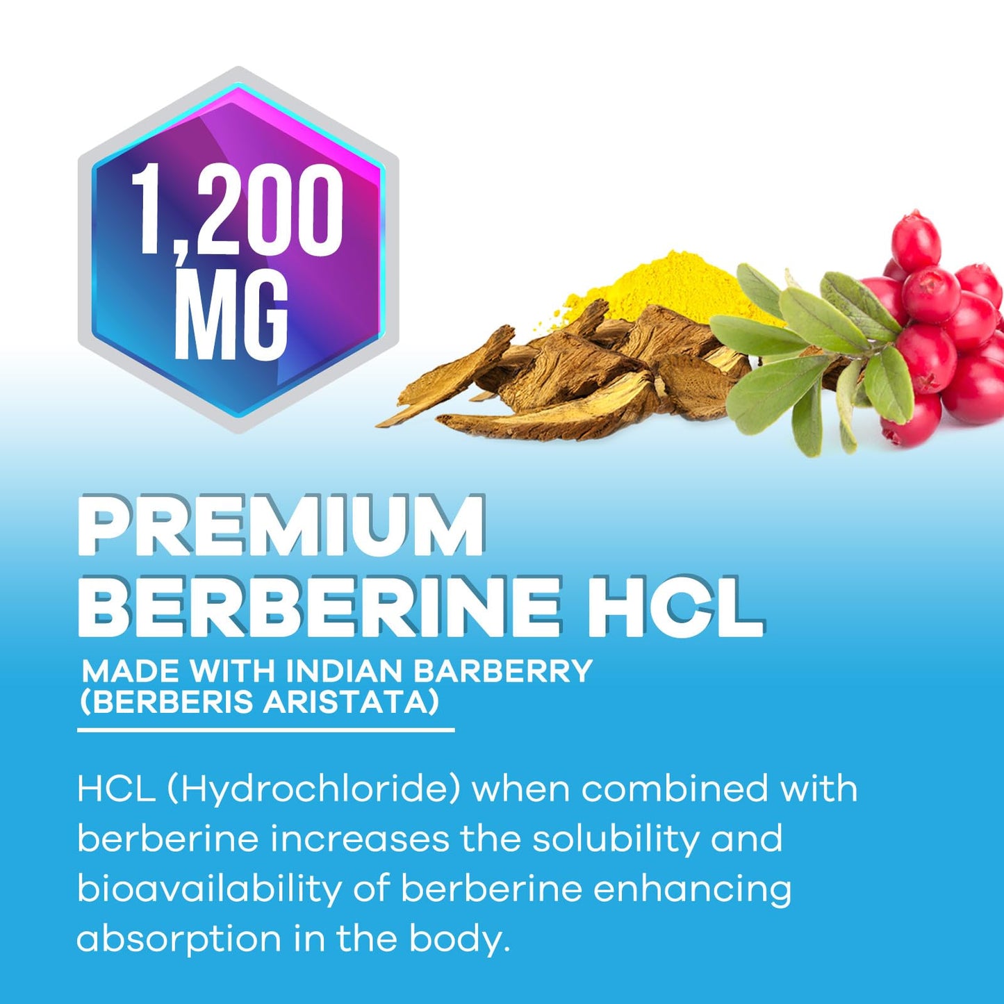 Berberine HCL 1200mg - High Absorption Capsule for Heart Health & Immune Support | Vegan, Gluten-Free, Non-GMO | 120 Veggie Capsules