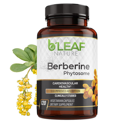 B’Leaf Nature Berberine Phytosome – 120 Capsules (1100mg) – Metabolic & Cardiovascular Support