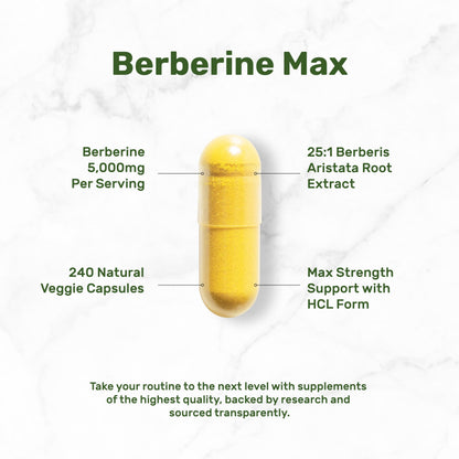 Berberine Max with Turmeric – 5,000mg per Serving | 97% Berberine HCl