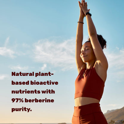 Berberine Max with Turmeric – 5,000mg per Serving | 97% Berberine HCl