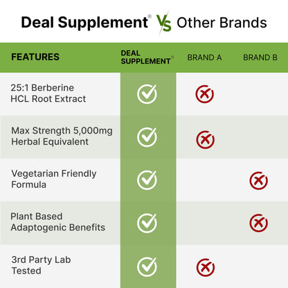 Berberine Max with Turmeric – 5,000mg per Serving | 97% Berberine HCl