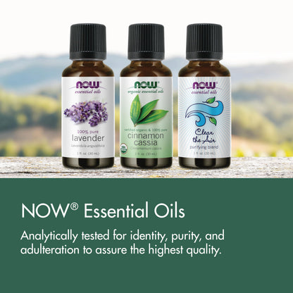 NOW Essential Oils Organic Bergamot Oil — 100% Pure, Cold-Pressed, Sweet Citrus Aroma, 1 oz