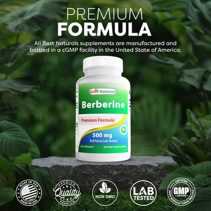 Best Naturals Berberine 500mg – 120 Capsules (Pack of 3) | Immune, Cardiovascular & GI Support