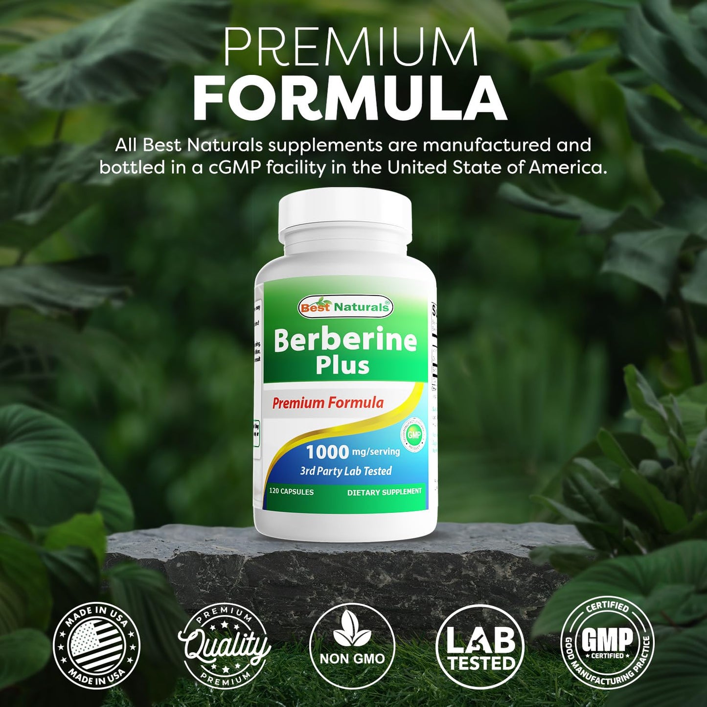 Best Naturals Berberine Plus 1000 mg/Serving – 120 Capsules (Pack of 2)