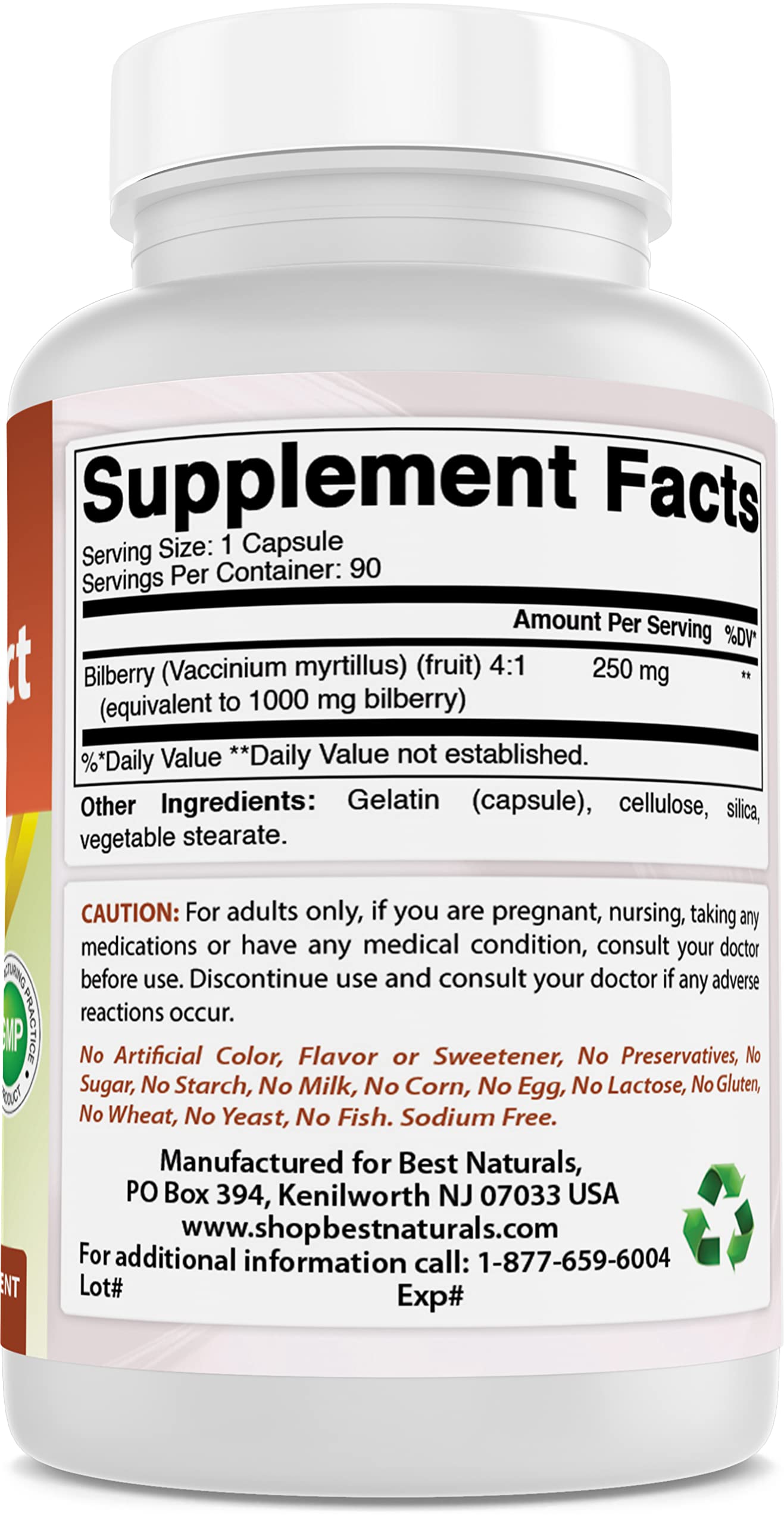 Best Naturals Bilberry 1000 mg - 90 Capsules (3 Pack)