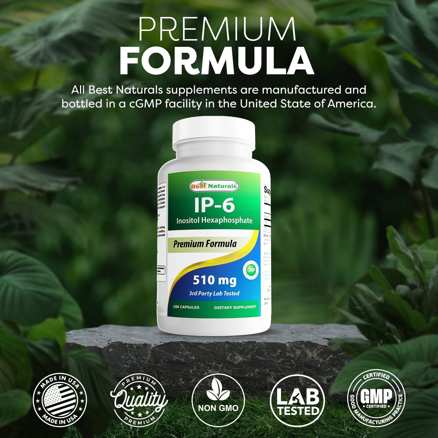 Best Naturals IP-6 510 mg 180 Capsules – Pack of 2
