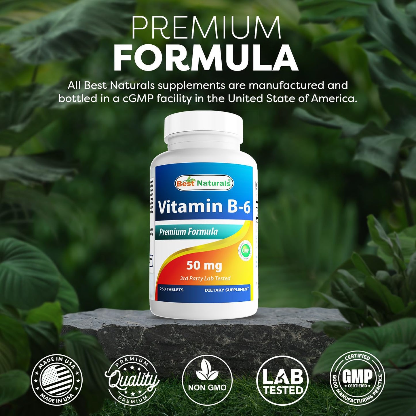 Best Naturals Vitamin B6 50 mg - 250 Tablets