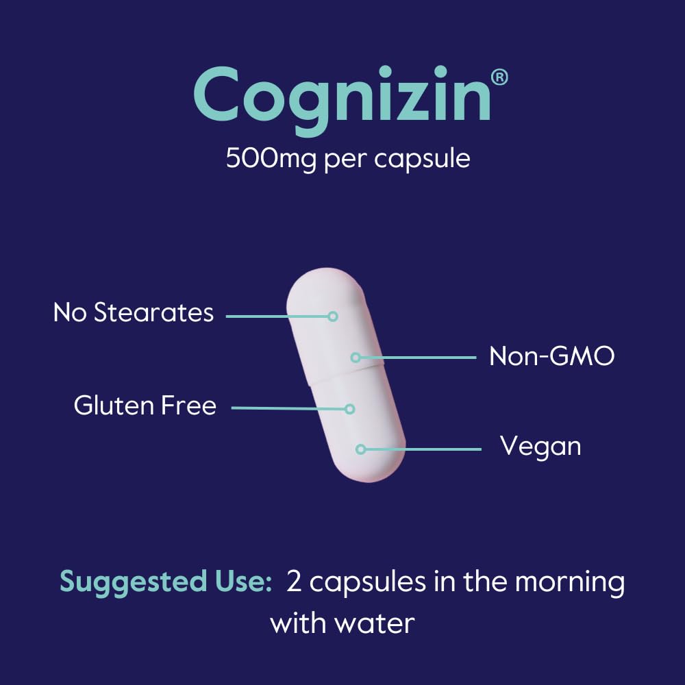 BESTVITE Cognizin Citicoline 500mg – 120 Vegetarian Capsules | Premium Nootropic