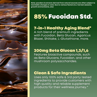 Beta Glucan & Fucoidan Brown Seaweed Extract - Immune & Cellular Support (90 Capsules) - Non-GMO, Gluten Free