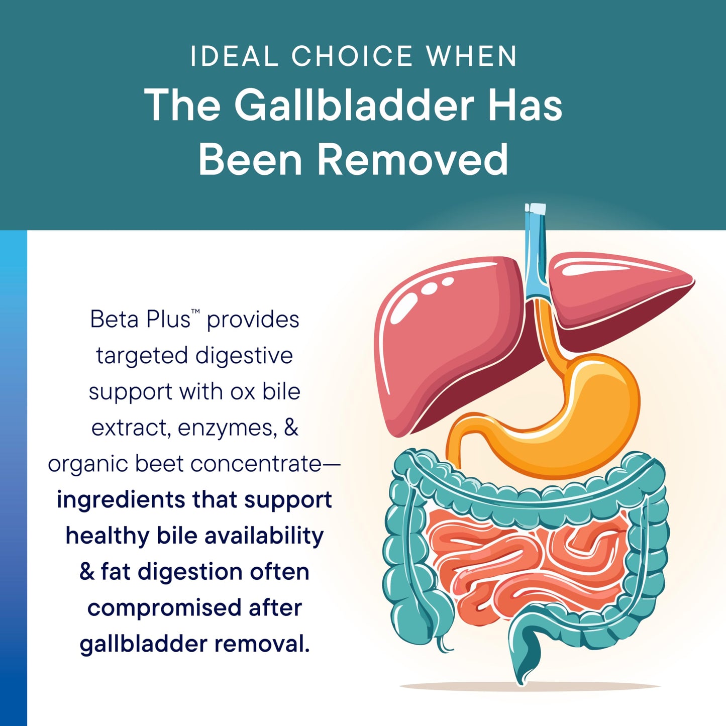 Biotics Research Beta-Plus Ox Bile Salts with Digestive Enzymes – 180 Tabs