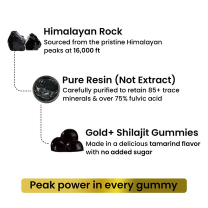 Better Alt GOLD+ Shilajit Gummies – Ashwagandha, Safed Musli, Ginger | 60 Gummies