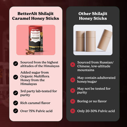 Better Alt Himalayan Shilajit Cinnamon Honey Sticks – 30 Sticks for Energy & Immunity